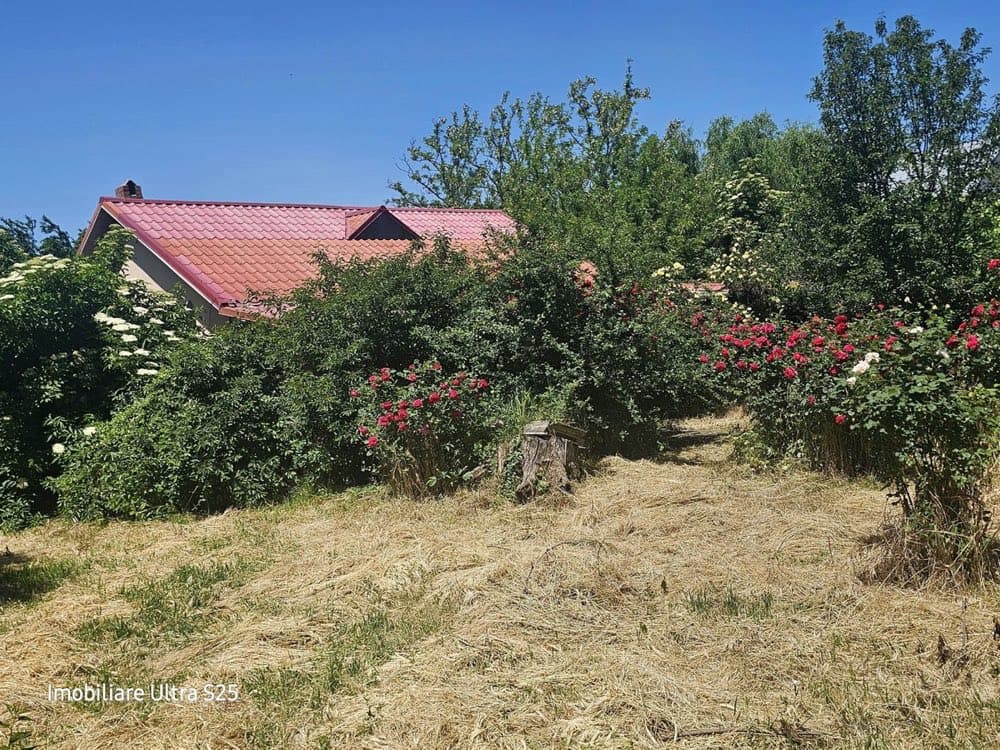Superbă casă de vânzare în localitatea ROMANU+2078 mp teren+vie+livada, lângă Brăila! – miniatură 2