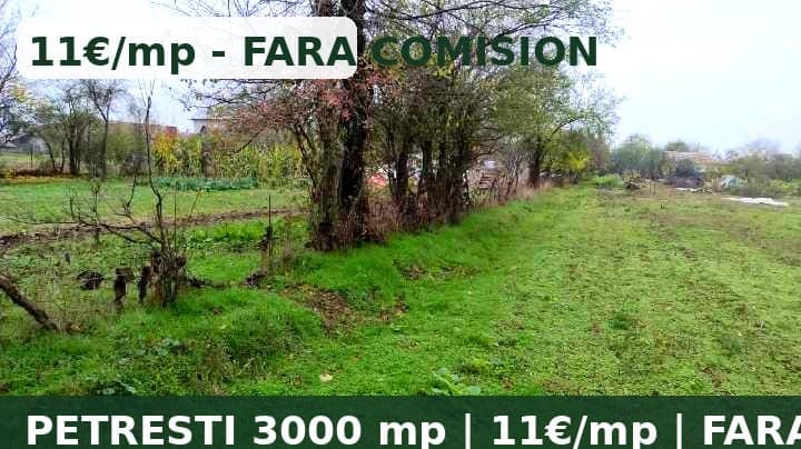 Teren intravilan de vânzare – Petrești, Dâmbovița – 3000 mp, la 1 km de A1 – miniatură 9