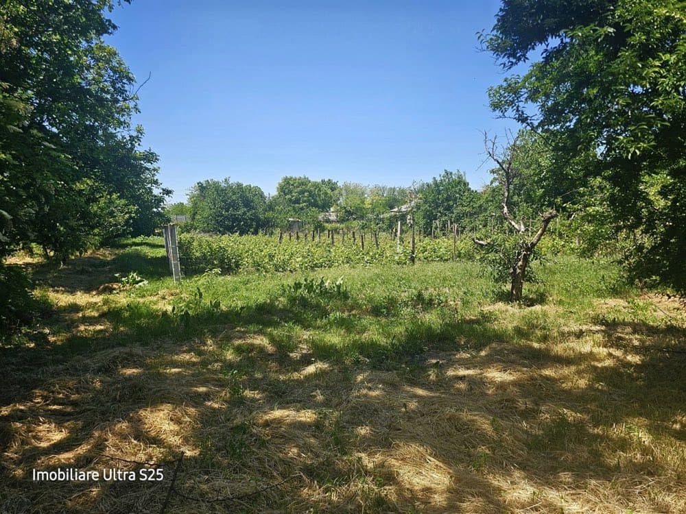 Superbă casă de vânzare în localitatea ROMANU+2078 mp teren+vie+livada, lângă Brăila! – miniatură 6