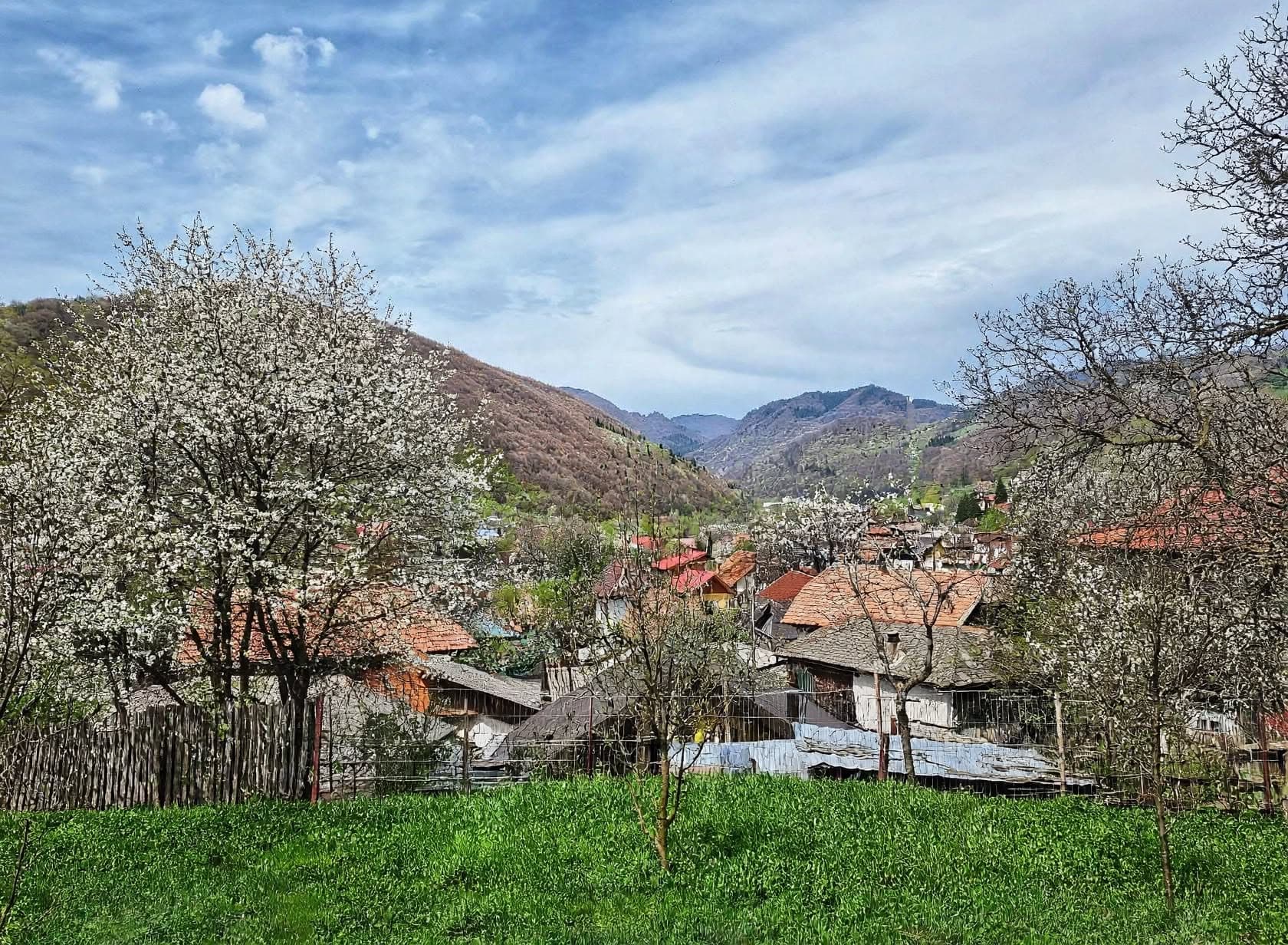🏡Casa de vanzare in Comuna Moroeni,sat Pucheni, jud. Dambovita; – miniatură 8