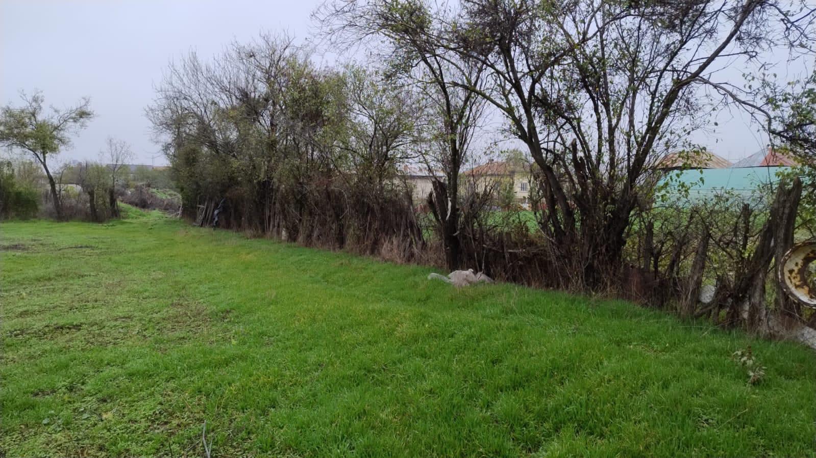 Teren intravilan de vânzare – Petrești, Dâmbovița – 3000 mp, la 1 km de A1 – miniatură 10