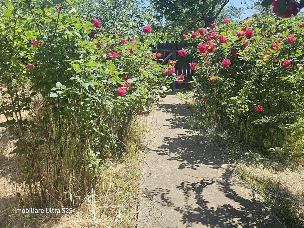 Superbă casă de vânzare în localitatea ROMANU+2078 mp teren+vie+livada, lângă Brăila! – miniatură 4