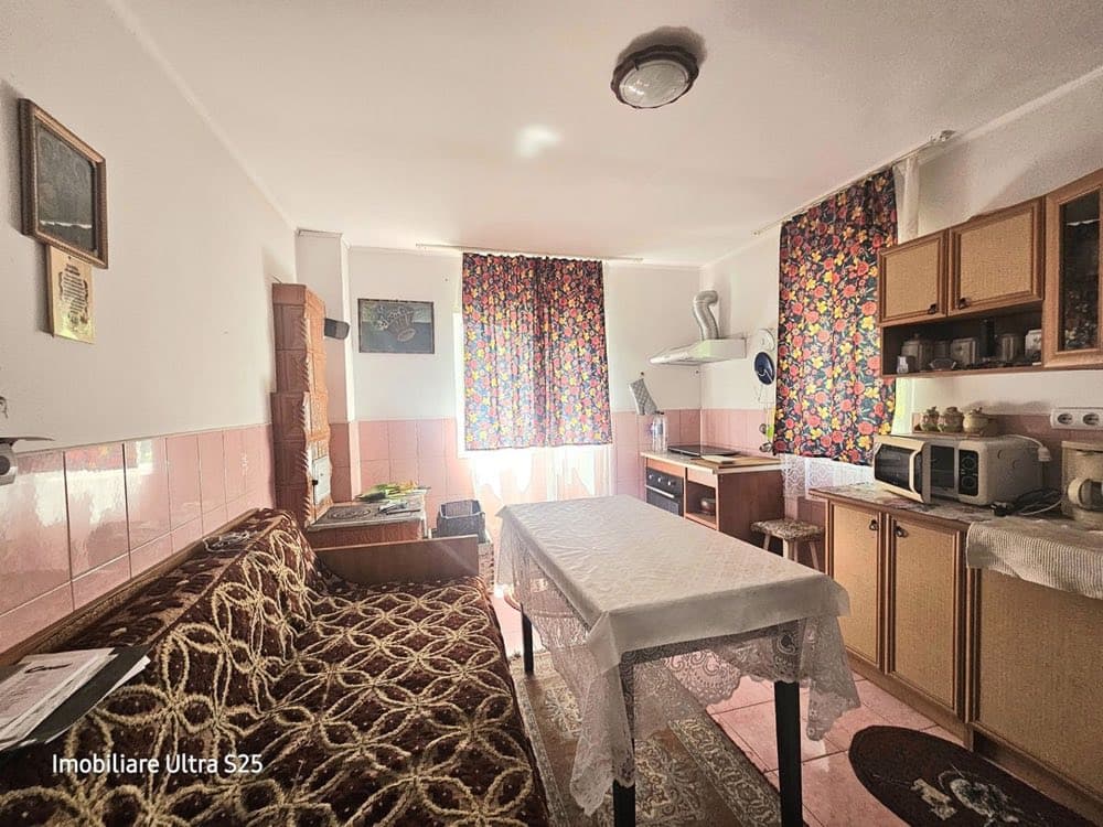 Superbă casă de vânzare în localitatea ROMANU+2078 mp teren+vie+livada, lângă Brăila! – miniatură 9