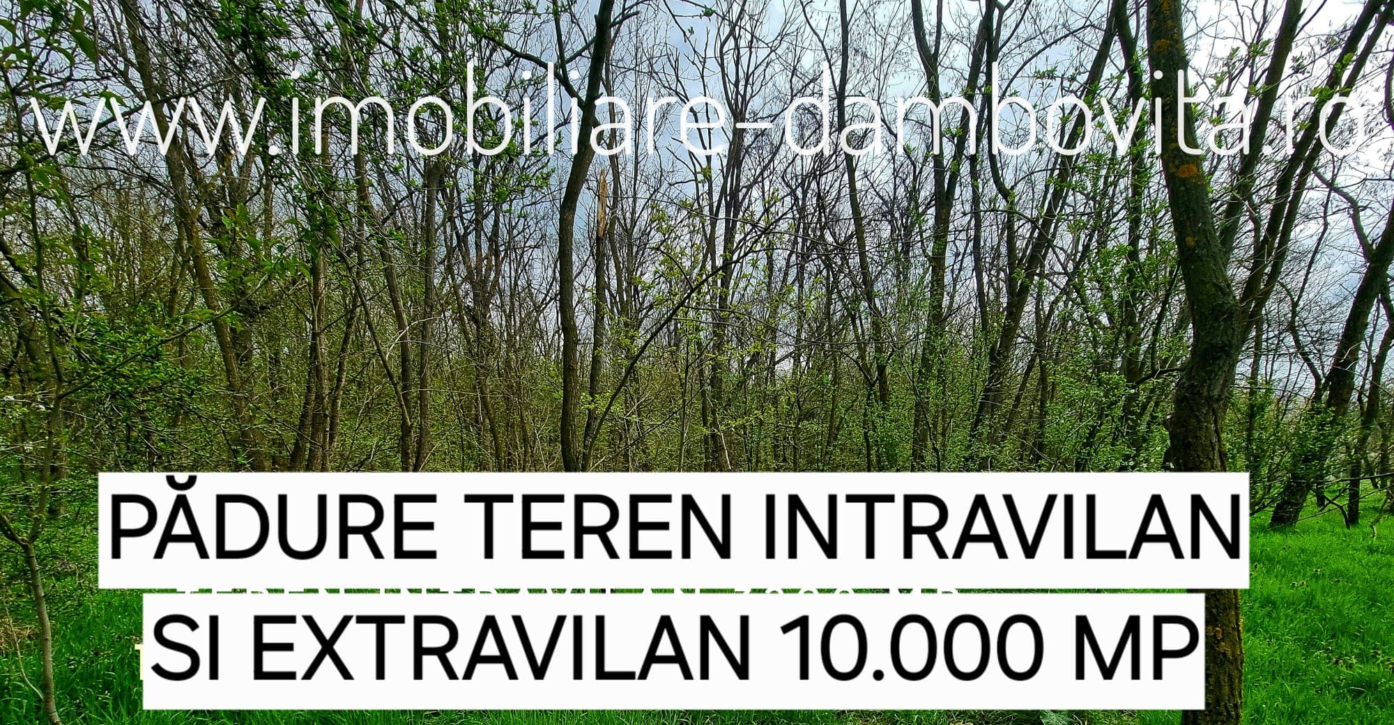 Vânzare pădure cu teren intravilan – Burducea, Dragodana – imagine 5